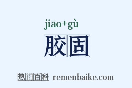 胶固是什么意思的图片